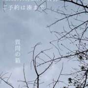 ヒメ日記 2026/03/25 00:29 投稿 湊かすみ ローテンブルク