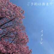 ヒメ日記 2026/03/25 07:12 投稿 湊かすみ ローテンブルク