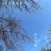 ヒメ日記 2026/03/25 07:24 投稿 湊かすみ ローテンブルク