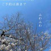 ヒメ日記 2026/03/26 23:33 投稿 湊かすみ ローテンブルク