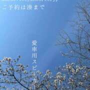 ヒメ日記 2026/03/29 00:14 投稿 湊かすみ ローテンブルク