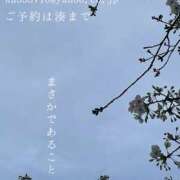 ヒメ日記 2026/03/31 00:57 投稿 湊かすみ ローテンブルク