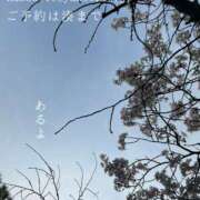 ヒメ日記 2026/03/31 09:14 投稿 湊かすみ ローテンブルク