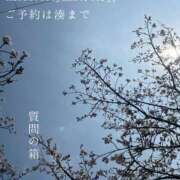ヒメ日記 2026/04/01 08:53 投稿 湊かすみ ローテンブルク