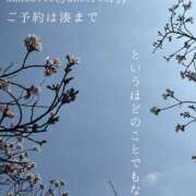 ヒメ日記 2026/04/03 08:51 投稿 湊かすみ ローテンブルク
