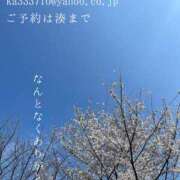 ヒメ日記 2026/04/03 09:03 投稿 湊かすみ ローテンブルク