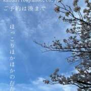 ヒメ日記 2026/04/04 07:21 投稿 湊かすみ ローテンブルク