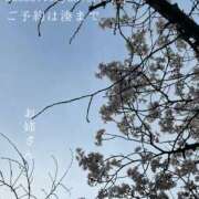 ヒメ日記 2026/04/05 08:31 投稿 湊かすみ ローテンブルク