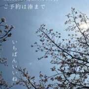 ヒメ日記 2026/04/05 08:56 投稿 湊かすみ ローテンブルク