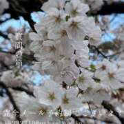 ヒメ日記 2026/04/06 23:29 投稿 湊かすみ ローテンブルク