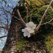 ヒメ日記 2026/04/06 23:49 投稿 湊かすみ ローテンブルク