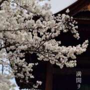 ヒメ日記 2026/04/07 06:47 投稿 湊かすみ ローテンブルク