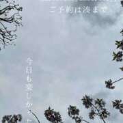 ヒメ日記 2026/04/08 08:47 投稿 湊かすみ ローテンブルク