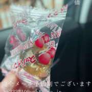 ヒメ日記 2026/04/08 09:50 投稿 湊かすみ ローテンブルク