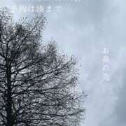 ヒメ日記 2026/04/11 07:08 投稿 湊かすみ ローテンブルク