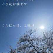 ヒメ日記 2026/04/11 21:56 投稿 湊かすみ ローテンブルク