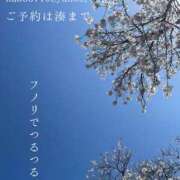 ヒメ日記 2026/04/13 00:13 投稿 湊かすみ ローテンブルク