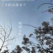 ヒメ日記 2026/04/14 08:04 投稿 湊かすみ ローテンブルク