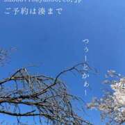 ヒメ日記 2026/04/16 08:05 投稿 湊かすみ ローテンブルク