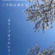 ヒメ日記 2026/04/17 07:45 投稿 湊かすみ ローテンブルク