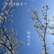 ヒメ日記 2026/04/17 07:52 投稿 湊かすみ ローテンブルク