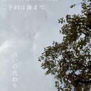 ヒメ日記 2026/04/19 09:19 投稿 湊かすみ ローテンブルク