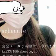 ヒメ日記 2026/04/20 06:48 投稿 湊かすみ ローテンブルク