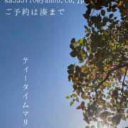 ヒメ日記 2026/04/21 07:34 投稿 湊かすみ ローテンブルク