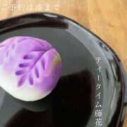 ヒメ日記 2026/04/21 07:57 投稿 湊かすみ ローテンブルク