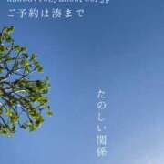ヒメ日記 2026/04/22 06:22 投稿 湊かすみ ローテンブルク