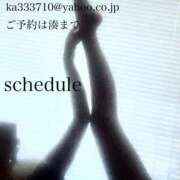 ヒメ日記 2026/04/22 23:14 投稿 湊かすみ ローテンブルク