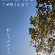 ヒメ日記 2026/04/23 08:45 投稿 湊かすみ ローテンブルク
