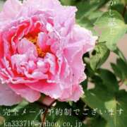 ヒメ日記 2026/04/24 08:47 投稿 湊かすみ ローテンブルク