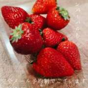 ヒメ日記 2026/04/25 08:40 投稿 湊かすみ ローテンブルク