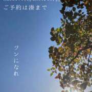 ヒメ日記 2026/04/25 08:50 投稿 湊かすみ ローテンブルク