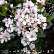 ヒメ日記 2026/05/02 23:59 投稿 湊かすみ ローテンブルク