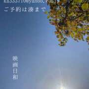 ヒメ日記 2026/05/07 07:47 投稿 湊かすみ ローテンブルク
