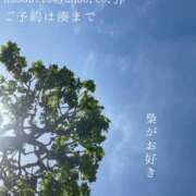 ヒメ日記 2026/05/08 07:42 投稿 湊かすみ ローテンブルク