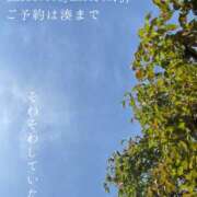 ヒメ日記 2026/05/10 08:49 投稿 湊かすみ ローテンブルク