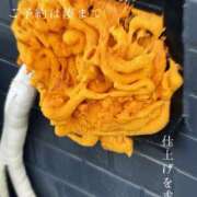 ヒメ日記 2026/05/11 08:36 投稿 湊かすみ ローテンブルク