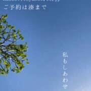 ヒメ日記 2026/05/12 08:44 投稿 湊かすみ ローテンブルク