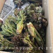 ヒメ日記 2026/05/13 09:08 投稿 湊かすみ ローテンブルク
