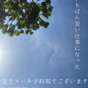 ヒメ日記 2026/05/14 09:01 投稿 湊かすみ ローテンブルク