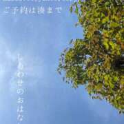 ヒメ日記 2026/05/14 09:10 投稿 湊かすみ ローテンブルク