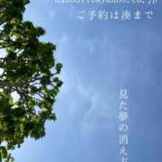 ヒメ日記 2026/05/14 09:34 投稿 湊かすみ ローテンブルク