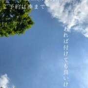 ヒメ日記 2026/05/15 09:12 投稿 湊かすみ ローテンブルク
