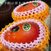 ヒメ日記 2026/05/16 09:11 投稿 湊かすみ ローテンブルク