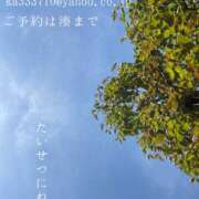 ヒメ日記 2026/05/17 09:17 投稿 湊かすみ ローテンブルク