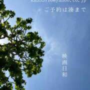 ヒメ日記 2026/05/30 08:21 投稿 湊かすみ ローテンブルク