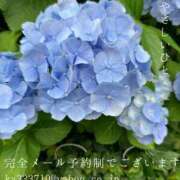 ヒメ日記 2026/06/03 09:18 投稿 湊かすみ ローテンブルク